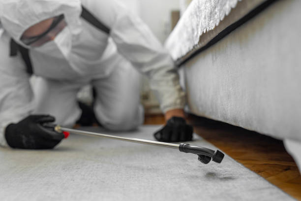 Professional Cockroach Control technician working in Westchester, FL